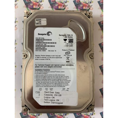 Hard Disk Usato Semifunzionante Sata 3,5" 250GB Seagate ST3250410AS 9EU142-305 3.AAC 08246 TK