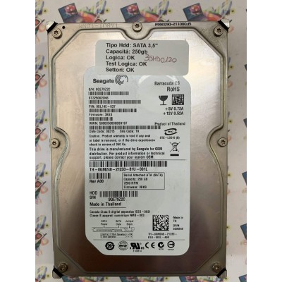Hard Disk Usato Funzionante 100% Ok SATA 3,5" 250GB SEAGATE ST3250620NS 9BL14E-037 3BKS 08315 TK