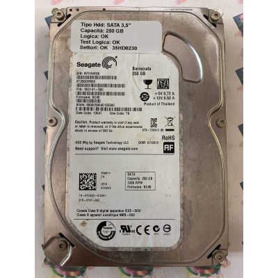 Hard Disk Usato Funzionante 100% Ok SATA 3,5" 250gb SEAGATE ST250DM000 1BD141-500 KC45 13047 TK
