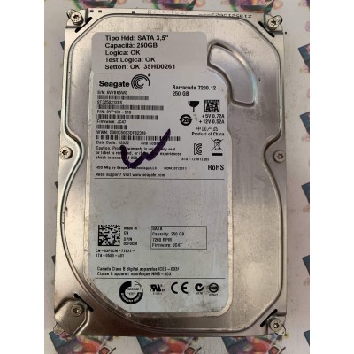Hard Disk Usato Funzionante 100% Ok SATA 3,5" 250gb SEAGATE ST3250312AS 6Y9131-519 JC47 12022 SU