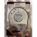 Hard Disk Usato Funzionante 100% Ok IDE 3,5" 40GB MAXTOR 6K040L0 6K040L0510205 NAR61HA0 22 JUL 2005