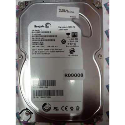 Hard Disk Usato Sata 3,5" 250Gb SEAGATE ST3250318AS 9SL131-021