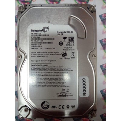 Hard Disk Usato Sata 3,5" 250Gb SEAGATE ST3250318AS 9SL131-302