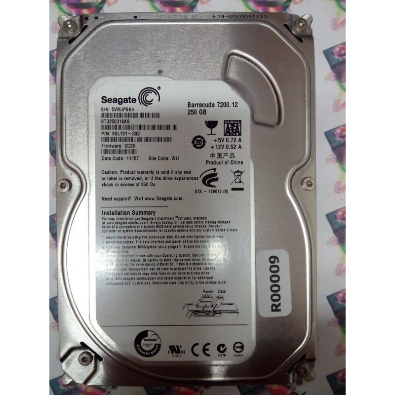 Hard Disk Usato Sata 3,5" 250Gb SEAGATE ST3250318AS 9SL131-302