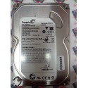 Hard Disk Usato Sata 3,5" 250Gb SEAGATE ST3250318AS 9SL131-302